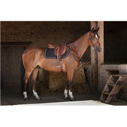 Sangle combin?e ERIC THOMAS HYBRID 2