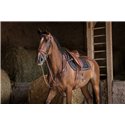 ERIC THOMAS HYBRID geschweifter Sattelgurt