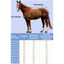 Chemise RIDING WORLD "Mesh" 2