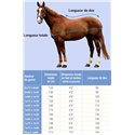 RIDING WORLD Stalldecke "Combo"