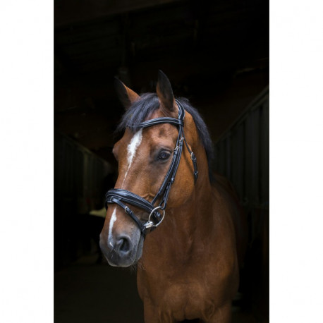 ERIC THOMAS PRO ?DESIGN" TRENSENZAUM