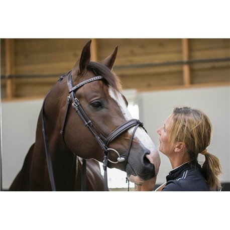 PENELOPE „Daily" Trensenzaum