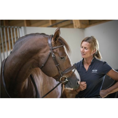 PENELOPE „Daily" Trensenzaum