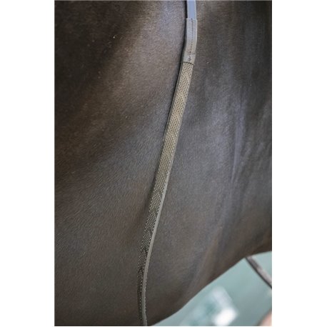 R?nes PENELOPE sangle "Daily"