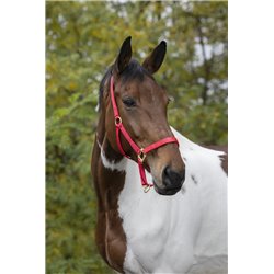 EQUITHÈME Nylonhalfter 2