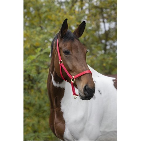 EQUITHÈME Nylonhalfter