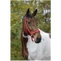 EQUITHÈME Nylonhalfter