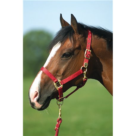 EQUITHÈME Nylonhalfter