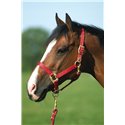 EQUITHÈME Nylonhalfter