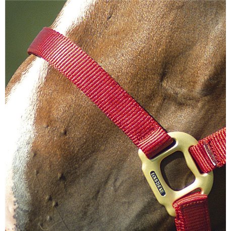 EQUITHÈME Nylonhalfter
