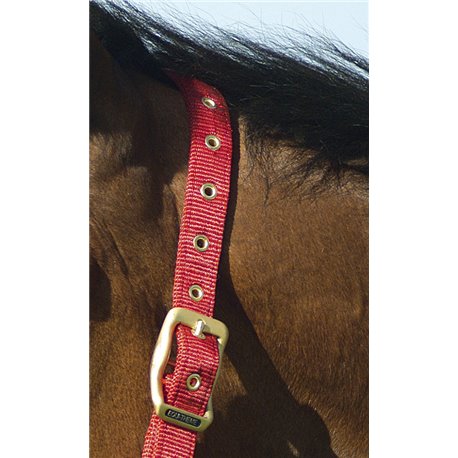 EQUITHÈME Nylonhalfter