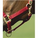 EQUITHÈME Nylonhalfter