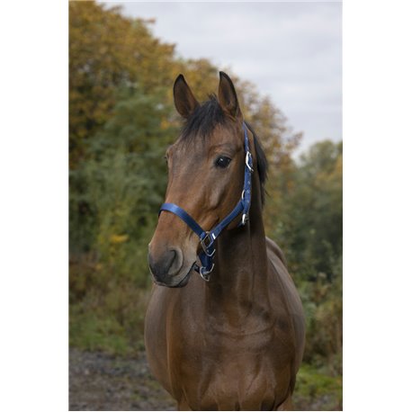 EQUITHÈME Nylonhalfter