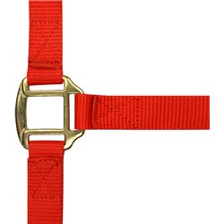 Licol nylon NORTON doublé cuir 2