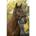 EQUITHÈME Halfter und Führstrick „Tressé“