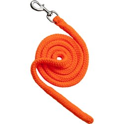 Longe d'attache NORTON "N?on" 2