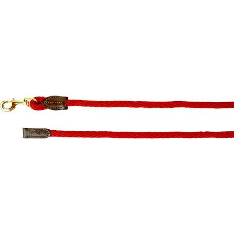 Longe d'attache NORTON "Cuir"