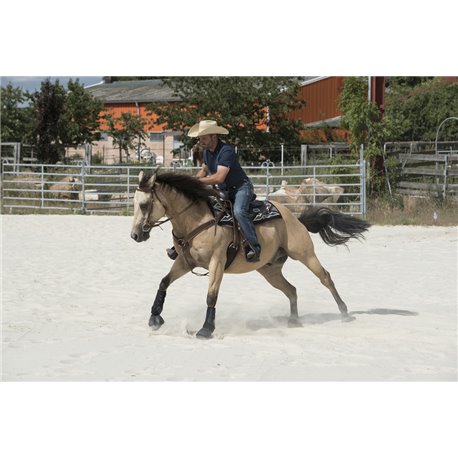 WESTRIDE by Franck Perret „Arvada"