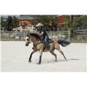 WESTRIDE by Franck Perret „Arvada"