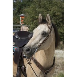 WESTRIDE by Franck Perret Einohr-Trense 2