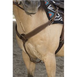 Collier de chasse WESTRIDE by Franck Perret "Billy" 2
