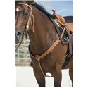 Collier de chasse WESTRIDE by Franck Perret "Aurora"