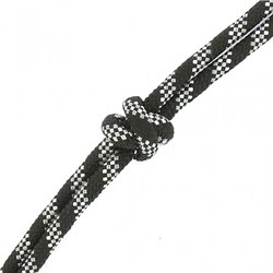 Licol ?thologique NORTON + longe "Eco" 2