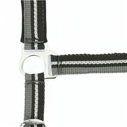 Licol + longe NORTON "Brillant" 2