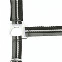 Licol + longe NORTON "Brillant"