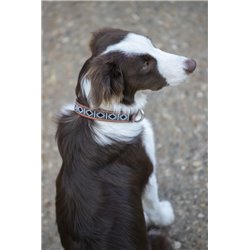 Collier pour chien P?n?lope "Pearl" 2