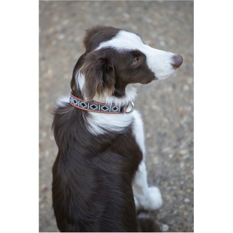 Collier pour chien P?n?lope "Pearl"