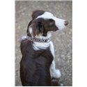 Collier pour chien P?n?lope "Pearl"