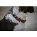 Collier pour chien P?n?lope "Pearl"