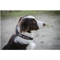 Penelope „Pearl" Hundehalsband