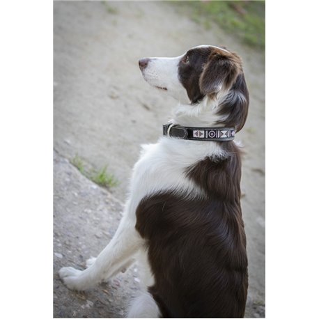 Penelope „Pearl" Hundehalsband