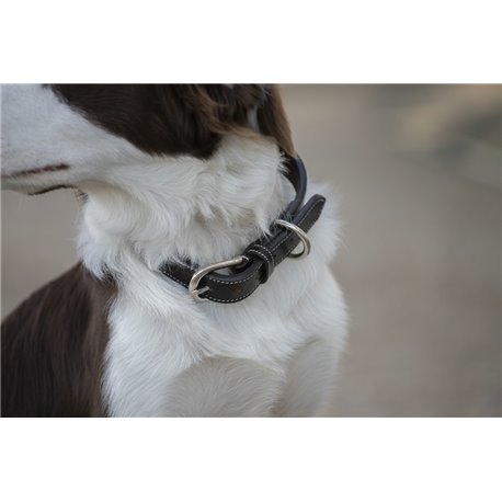 Penelope „Pearl" Hundehalsband