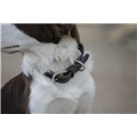 Penelope „Pearl" Hundehalsband