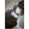 Penelope „Pearl" Hundehalsband