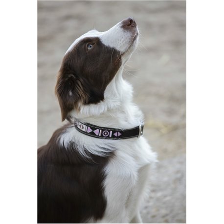 Penelope „Pearl" Hundehalsband