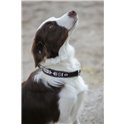 Penelope „Pearl" Hundehalsband