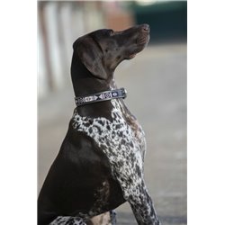 Penelope „Pearl" Hundehalsband 2