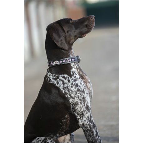 Penelope „Pearl" Hundehalsband