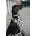 Penelope „Pearl" Hundehalsband