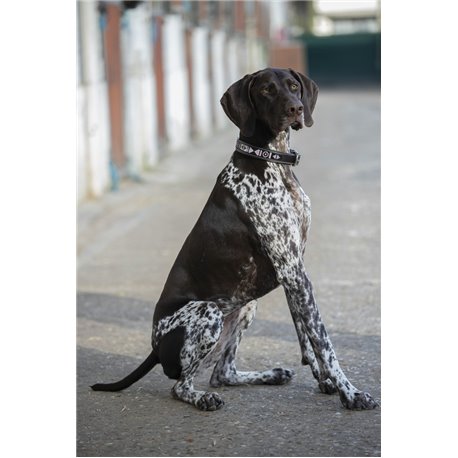 Penelope „Pearl" Hundehalsband
