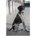 Penelope „Pearl" Hundehalsband