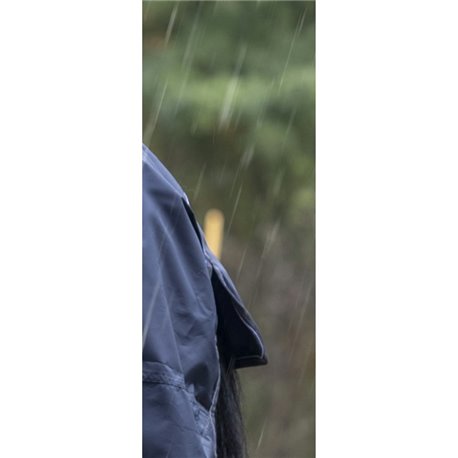 EQUITH?ME "Light" Regendecke