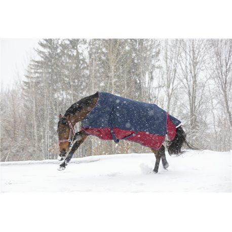 EQUITHÈME "TYREX 1200 D" Decke