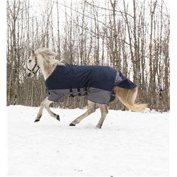 EQUITHÈME "TYREX 600 D" Belly Belt Decke 2