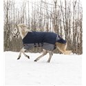 EQUITHÈME "TYREX 600 D" Belly Belt Decke
