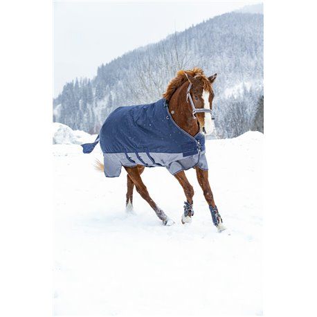 EQUITHÈME "TYREX 600 D" Belly Belt Decke